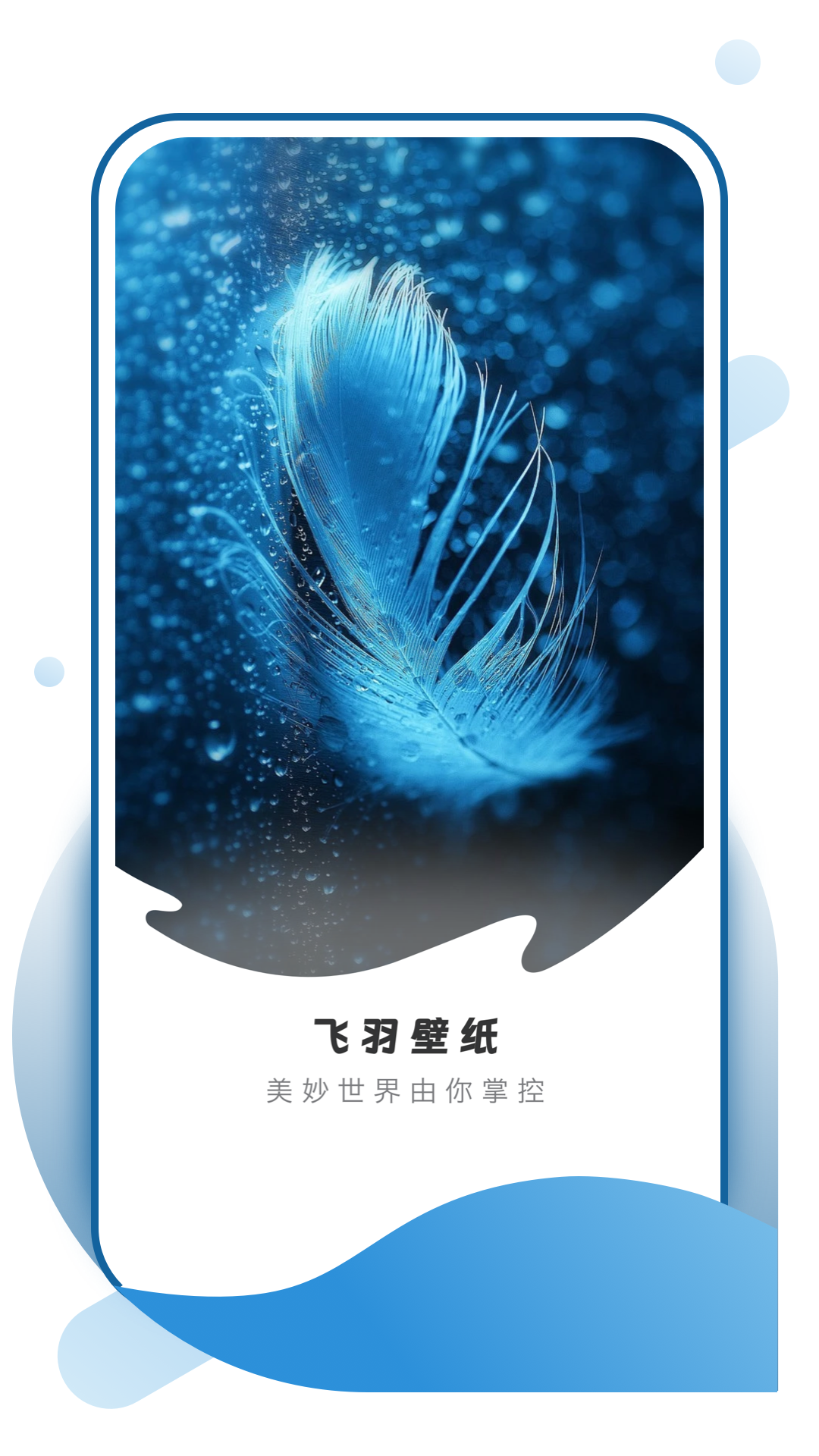 飞羽壁纸高清图片app下载