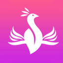 金凤穿搭app安卓版下载v1.1