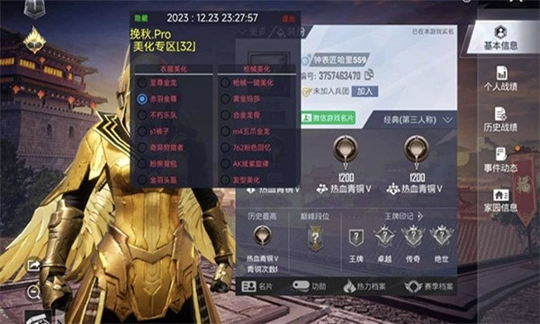 挽秋pro美化包下载